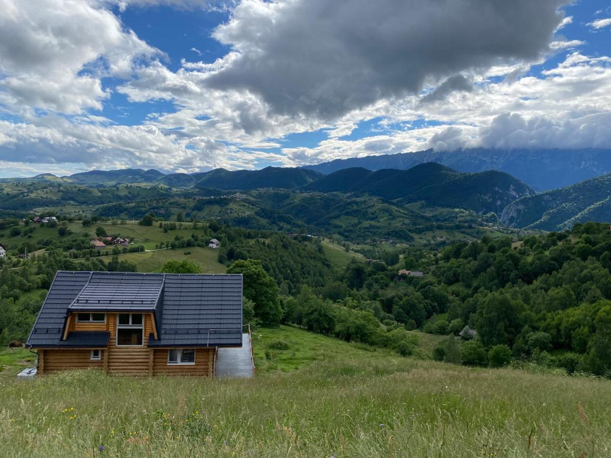 Magura Little Chalet Kültér fotó